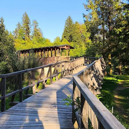 Cozy Wabi-sabi Retreat W Bikes By The River Апартаменты