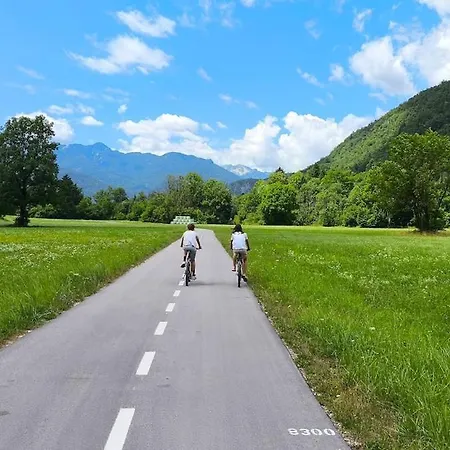 Cozy Wabi-sabi Retreat W Bikes By The River