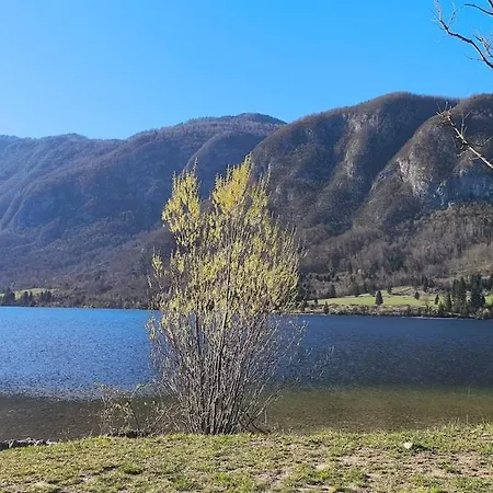 Cozy Wabi-sabi Retreat W Bikes By The River Apartamento Bohinj