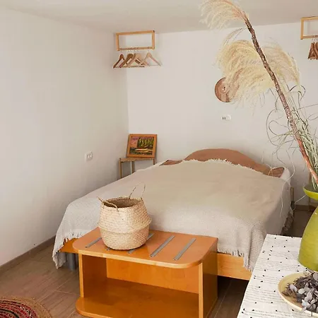 Cozy Wabi-sabi Retreat W Bikes By The River Апартаменты *