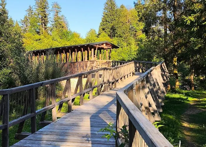 Cozy Wabi-sabi Retreat W Bikes By The River Apartamento