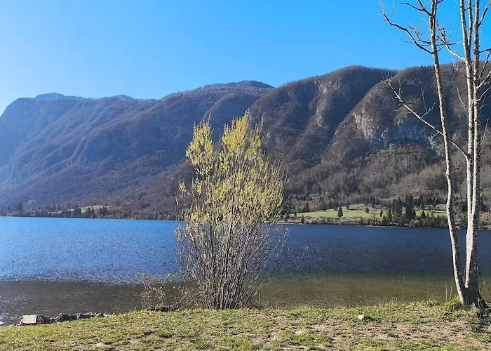 Cozy Wabi-sabi Retreat W Bikes By The River Apartamento Bohinj