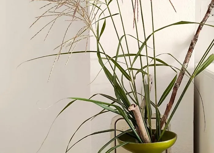 Cozy Wabi-sabi Retreat W Bikes By The River *