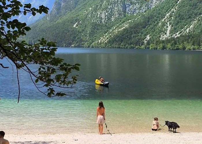 Apartment Cozy Wabi-sabi Retreat W Bikes By The River *