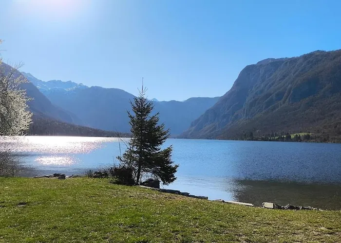 Apartment Cozy Wabi-sabi Retreat W Bikes By The River Bohinj